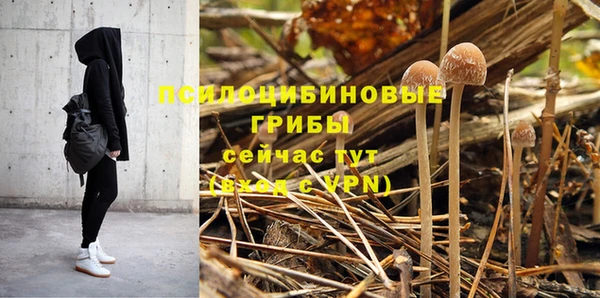 сатива Абдулино