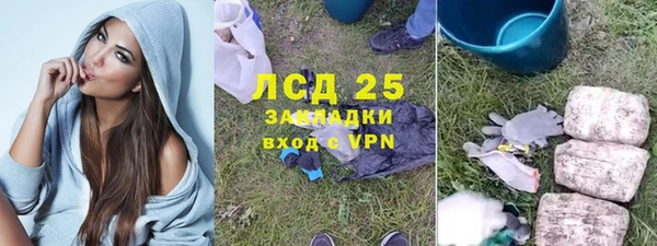 хмурый Алзамай